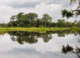 Forest Republic of Congo